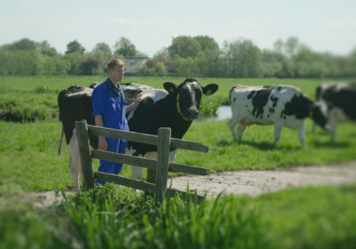 Melkveehouder Burchart de Jong tevreden over tv-optreden 